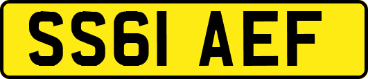 SS61AEF