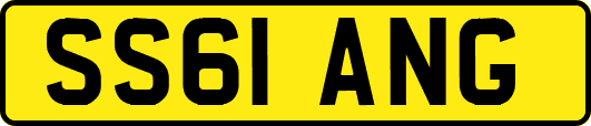 SS61ANG