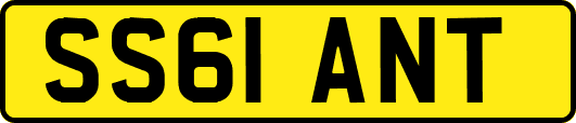 SS61ANT
