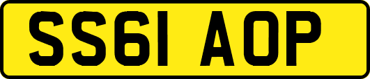SS61AOP