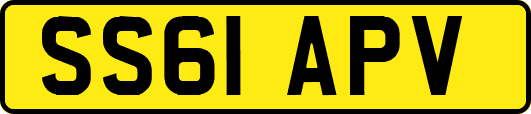 SS61APV