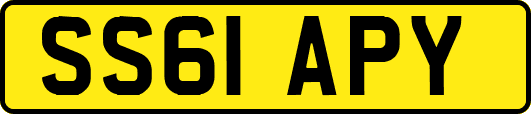 SS61APY