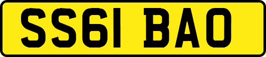 SS61BAO