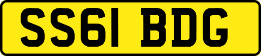 SS61BDG