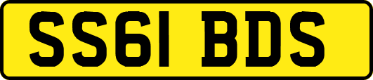 SS61BDS
