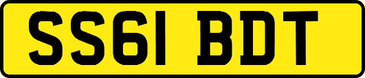 SS61BDT