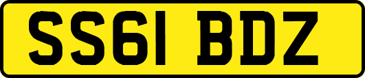 SS61BDZ