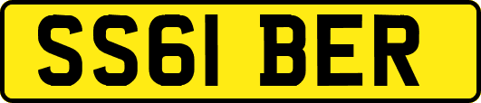 SS61BER
