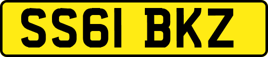 SS61BKZ