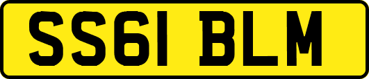 SS61BLM
