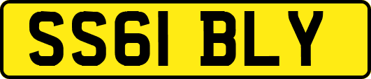 SS61BLY