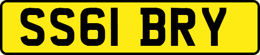 SS61BRY