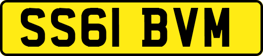 SS61BVM