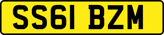 SS61BZM
