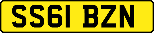 SS61BZN