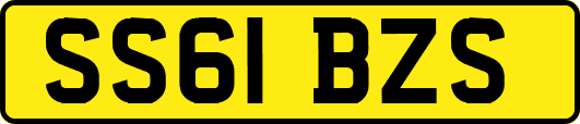 SS61BZS