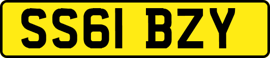 SS61BZY