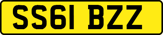 SS61BZZ