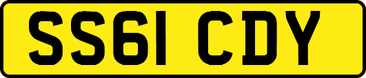 SS61CDY