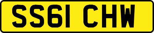 SS61CHW
