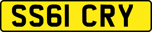 SS61CRY