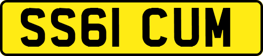 SS61CUM