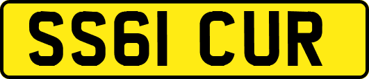 SS61CUR
