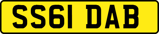 SS61DAB