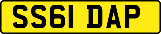 SS61DAP