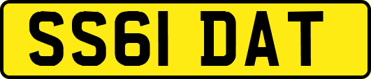 SS61DAT