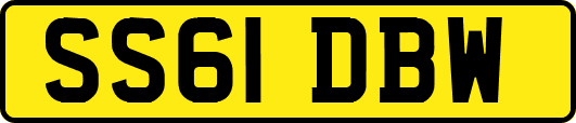 SS61DBW