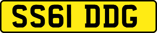 SS61DDG