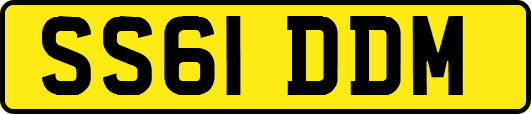SS61DDM