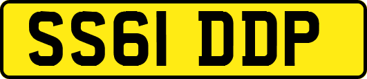 SS61DDP