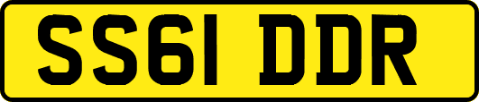 SS61DDR