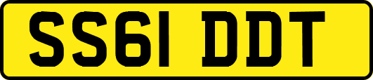 SS61DDT