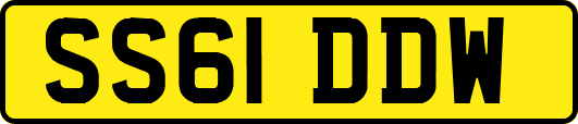 SS61DDW