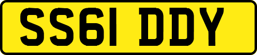 SS61DDY