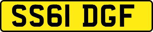 SS61DGF