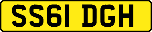 SS61DGH