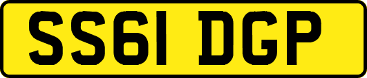 SS61DGP