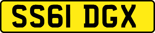 SS61DGX