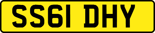 SS61DHY