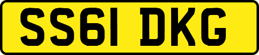 SS61DKG