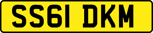 SS61DKM