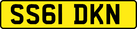 SS61DKN
