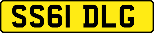 SS61DLG