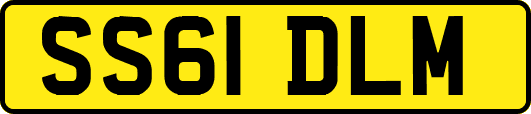SS61DLM