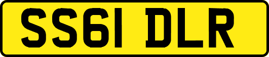 SS61DLR