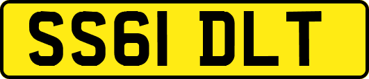 SS61DLT